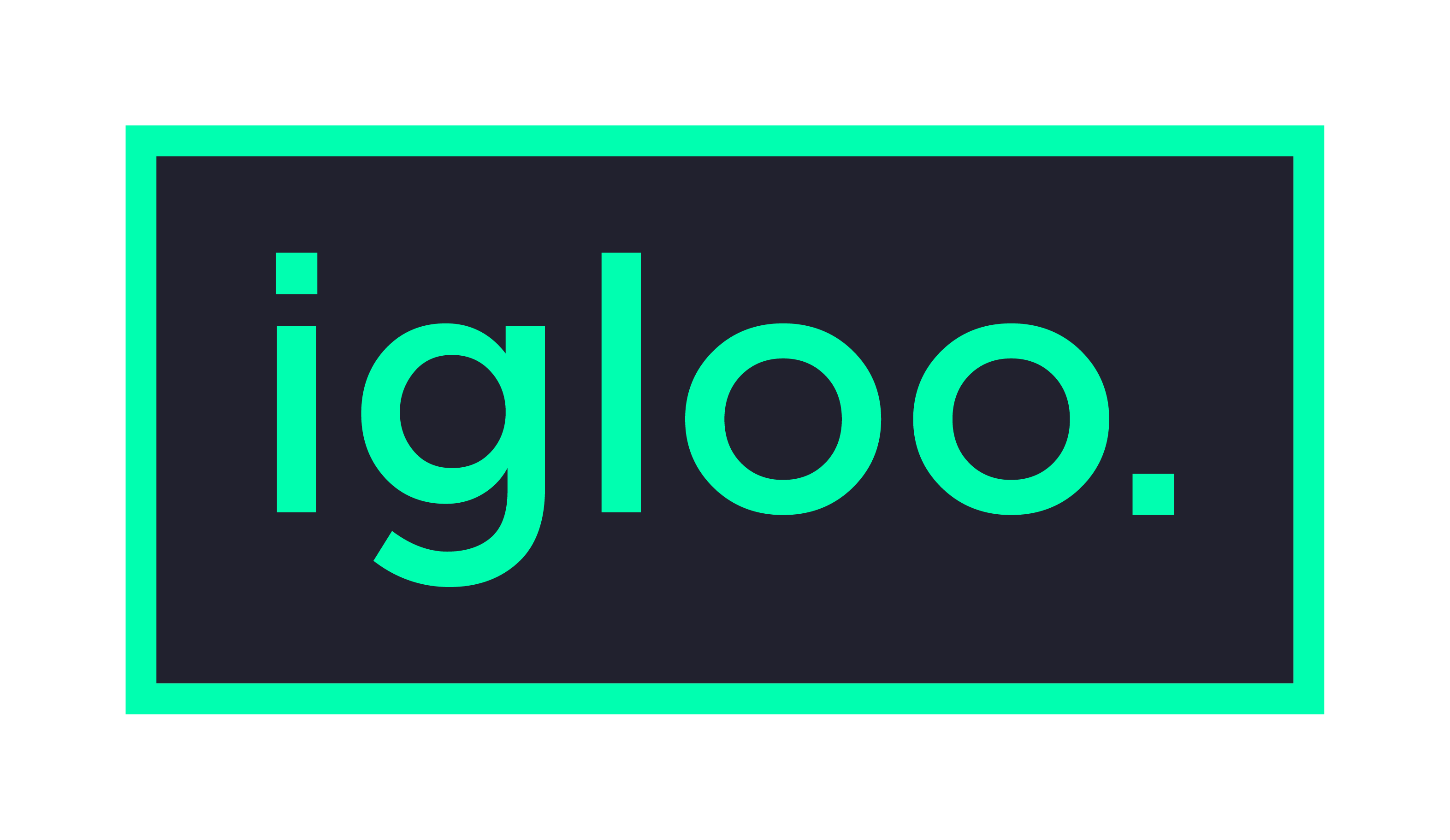 Igloo & Co